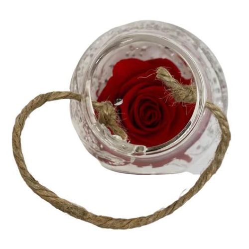 Rosa stabilizzata in vaso di vetro